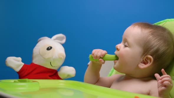 Adorable baby girl eating green fresh celery stick