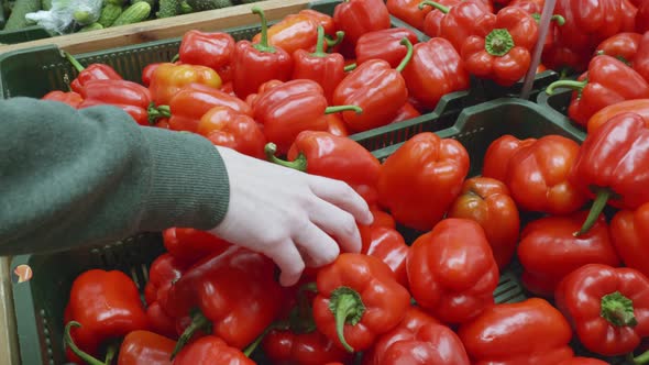 Woman Chooses Red Peppers in a Pepper Store