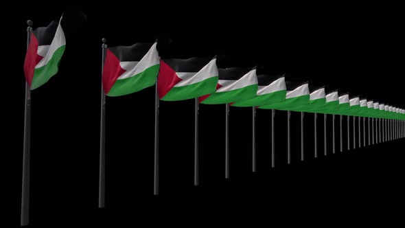 Row Of Palestine Flags With Alpha 2K alt