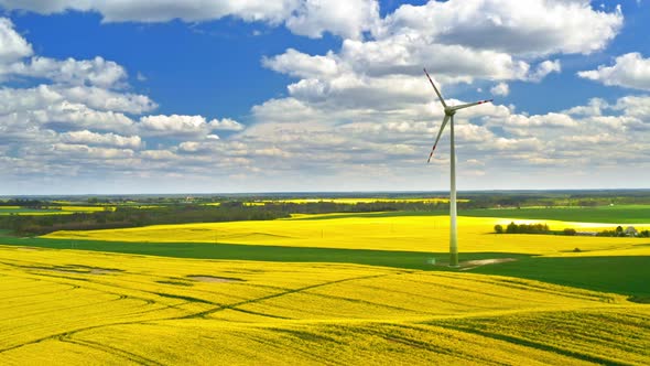 Yellow and green rape fields and blue sky, Poland alt