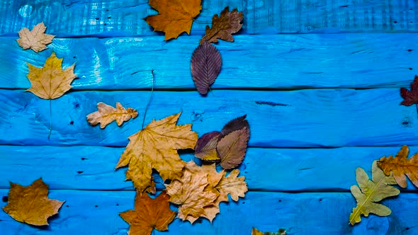 Beautiful Autumn Background With Yellow Foliage, Maple Leaves On Wooden Boards