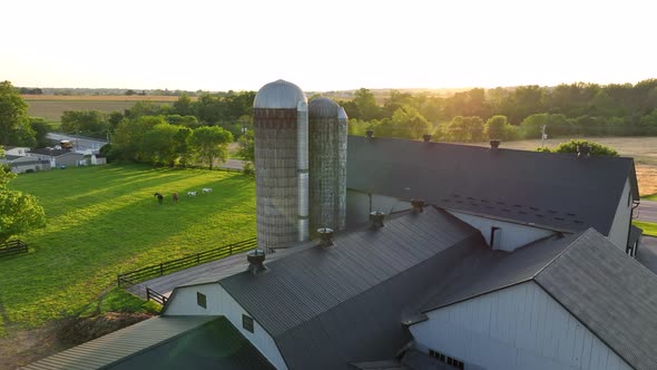 Aerial rotation around silos at modern farm in rural America. Animals graze in background. Beautiful alt