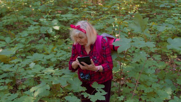 Retired Senior Elderly Grandmother Adventurer Exploring Forest Trees Plants with Her Digital Tablet alt