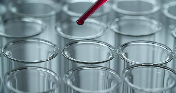 Working In The Research Lab alt