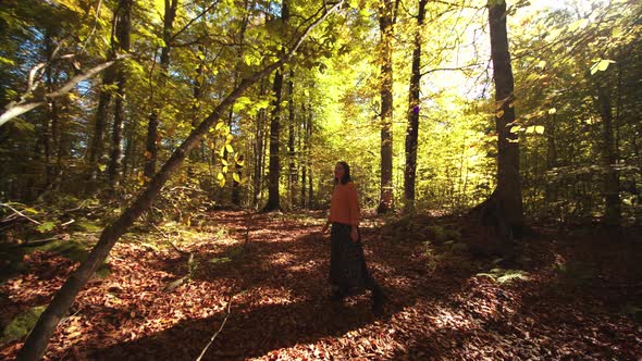 Beautiful Girl is Walking Among the Scenic Autumn Forest Covered with Fallen Leaves and Golden