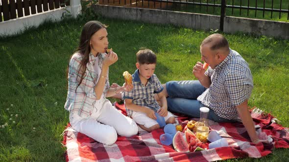 Happy Young Woman and Man Sit with Little Boy on Lawn alt