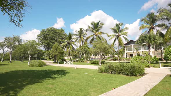 Beautiful Green Park with Palm Trees and Mowed Lawn