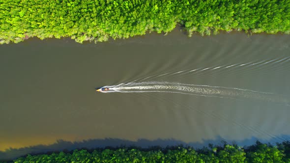Top view of the boat cruising along the river with mangroves surrounding. alt