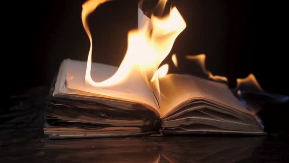 The Book is on Fire, Stock Footage | VideoHive