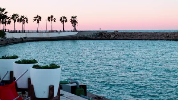 Morning Landscape of Sunrise on Sea with Embankment with Palm Trees