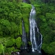Tropical Waterfall in Green Rainforest - VideoHive Item for Sale
