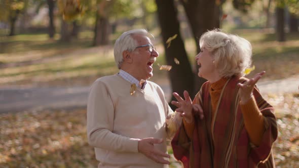 Handsome senior couple walking in autumn park