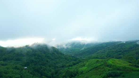 4K Aerial Drone shot flying over beautiful mountain ridge in rural jungle bush forest. alt