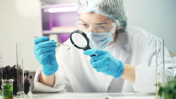 Medical Scientist Inspecting Microgreens Wearing Protective Unform Working in Laboratory alt