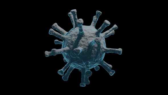 Seamless Loop Coronavirus Model