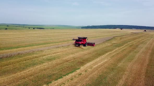 Aerial view. Combine harvester working on sunny summer day. Harvest time. Agricultural sector alt