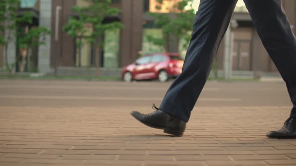 A Man with a Dog Makes a Photo of the Sunrise alt