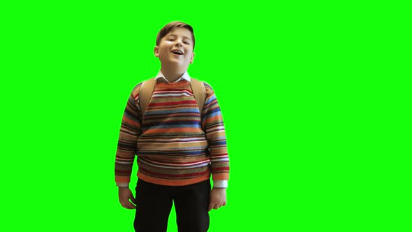 Schoolboy Boy in a Sweater and with a Backpack Laughs on a Green Background Chroma Key alt