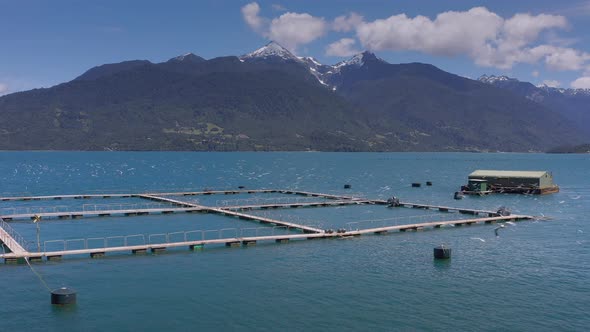 Aerial Salmon Farms at Reloncavi Marine Strait at Llanquihue National Park, Chile, South America