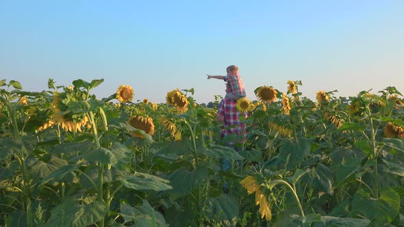 Father and Son Walking in Field of Sunflowers alt