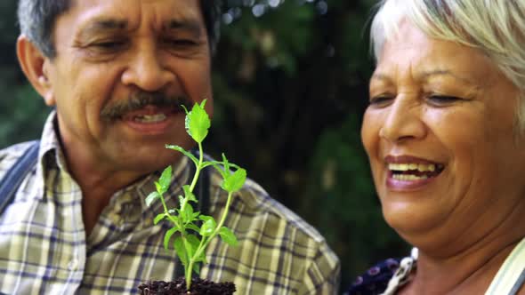 Senior couple holding plant alt