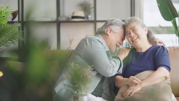 asian retired couple enjoy talking conversation together on sofa with happiness laugh smile