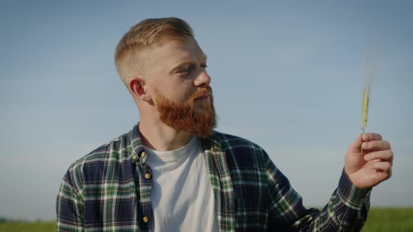 The Farmer Checks the Future Wheat Harvest and Writes the Data to the Tablet