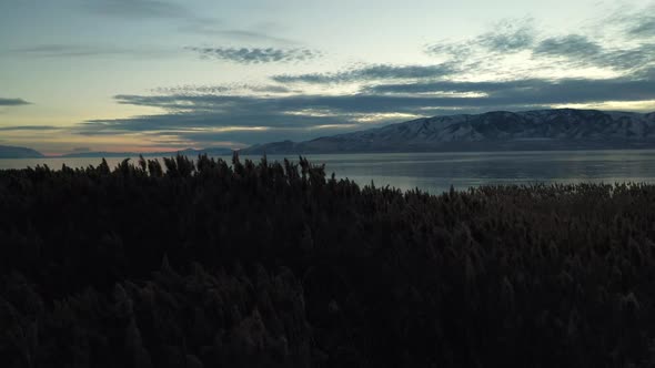 Rising up from behind reeds revealing lake at dusk alt