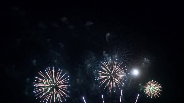 Colorful Firework display at night on sky background alt