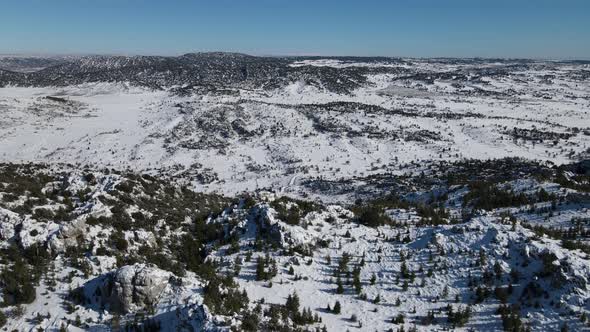 Panoramic Winter Landscape alt