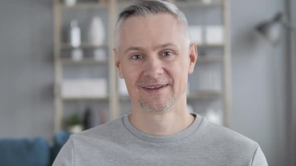 Portrait of Talking Gray Hair Man, Online Video Chat alt