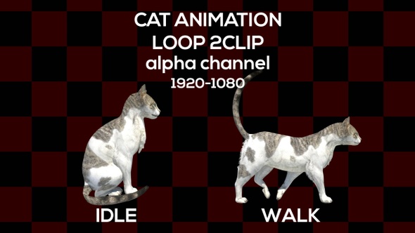 Cat Animation 2 Clip Alpha
