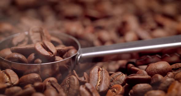 Close Up of Seeds of Coffee. Fragrant Coffee Beans Are Roasted Smoke Comes From Coffee Beans. alt