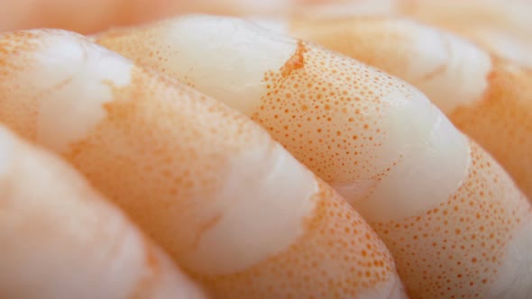 Tiger Prawn Macro Shot. Cooked Prawn or Shrimp Macro Shot Cinematic View alt