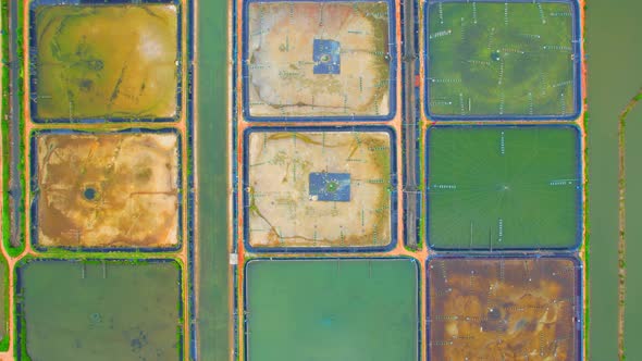 An aerial view over a drone flying over a large shrimp farm alt