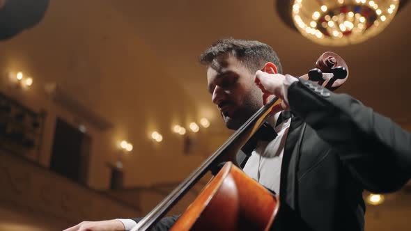 Inspired Cellist is Playing Cello on Scene of Music Hall Concert of Symphonic Orchestra in alt