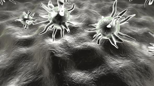 Microscopic view on Viruses infecting the human Body