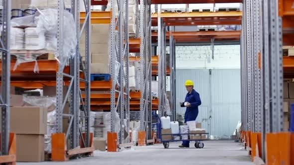 Woman Working in Warehouse alt