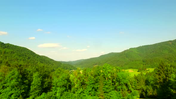 Green Summer Valley with Forests