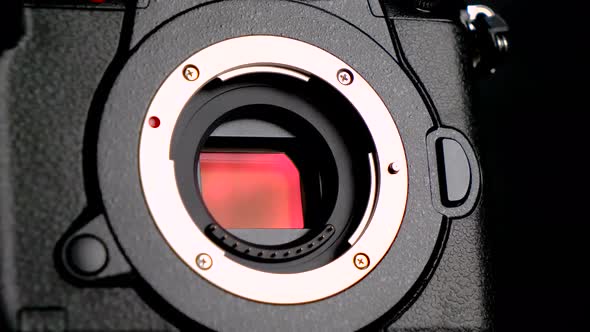 Micro43 Camera Sensor Close-up