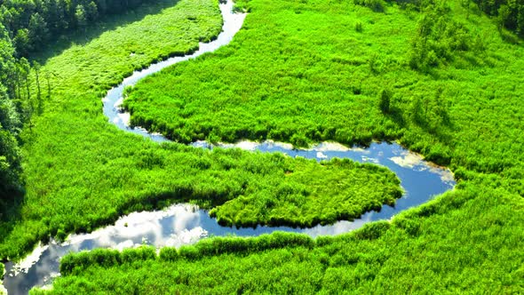 Stunning small river and old green forest in Tuchola natural park, Poland from above alt