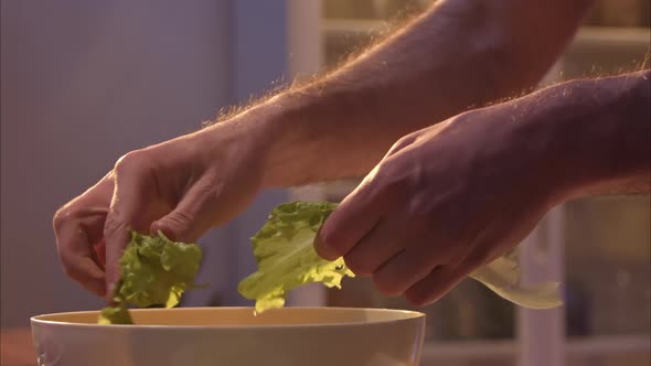 Male Hands are Tearing Lettuce Leaves for a Fresh Healthy Meal