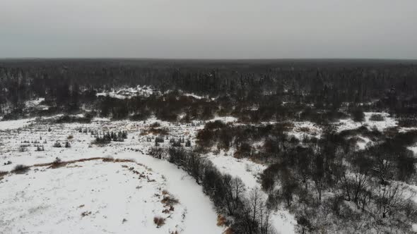 The Edge Of The Taiga Forest Under The Snow