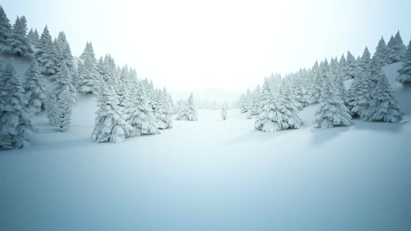 Animation of the white snowy winter landscape below the cloudless sky ...