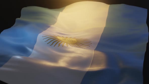 Argentina Flag Low Angle View