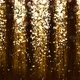 Abstract Royal Gold Particle Confetti and Glitter Rain 4K - VideoHive Item for Sale