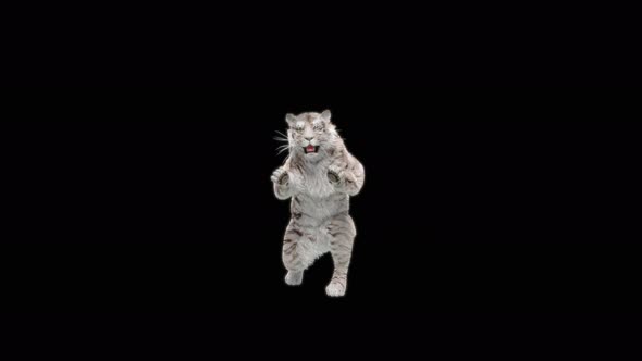 81 White Tiger Standing Magic Attack 4K alt