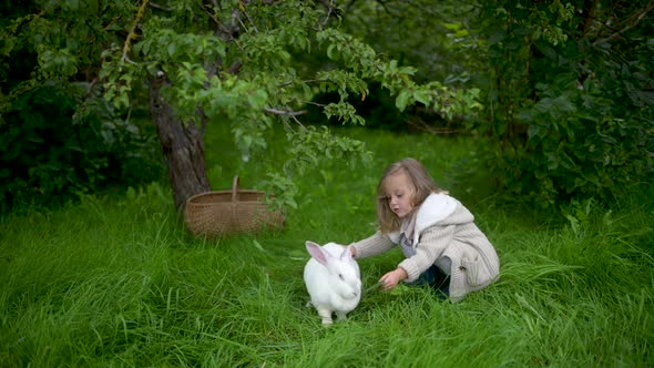 A cute little girl is playing with a white hare in the garden.