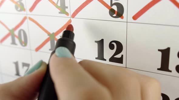 Female Hand Crosses with Red Marker the Calendar Day 12. Slow Motion Shot. Close Up
