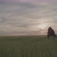 Man in Medieval Clothes Walks Through Wheatfield at Sunset Touching Wheat Ears 